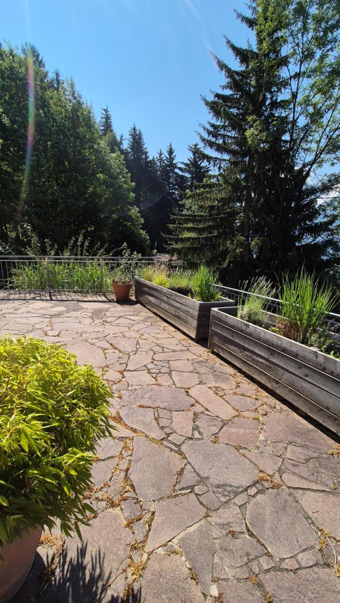 Ferienwohnungen Bergart Iselsberg Екстериор снимка